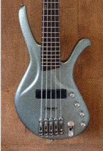 Ibanez Ergodyne EDA905 gesucht