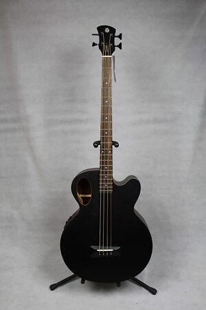 Suche Spector Timbre Akustik Bass