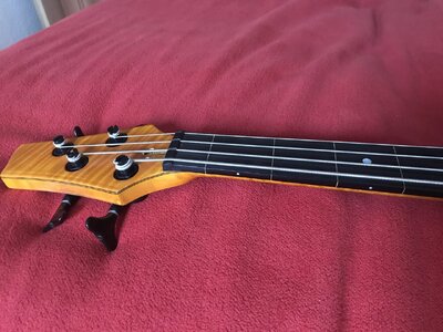 Human Base Jonas Fretless 4 String