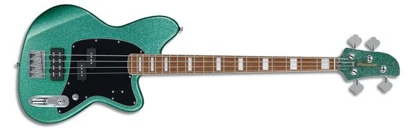 IBANEZ TMB 310.jpg