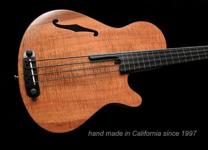 Rob Allen 4 string fretless