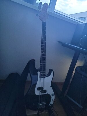 Suche Fender Precision 32 scale Pickguard!!!