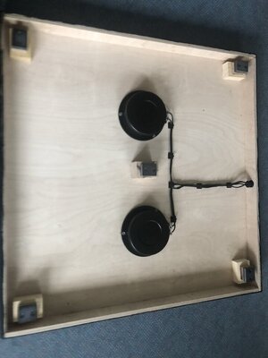 Pleasureboard DIY mit AMP DIY