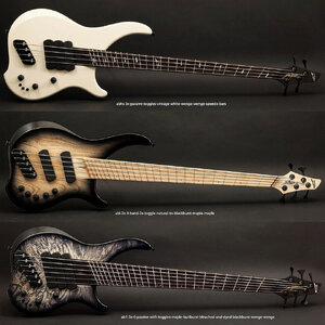 Looking for 5-string Dingwall ABZ or ABI