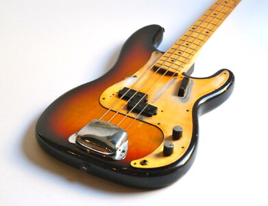 Suche Fender P-Bass