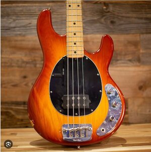 SUCHE / Tausche: Music Man Stingray 4 in honey burst