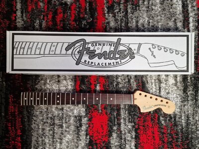 Fender American Performer Stratocaster Neck Hals RW Rosewood Palisander
