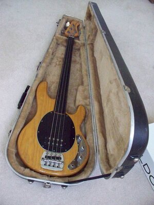 Suche: Original Musicman tear drop case