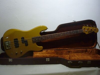 hohner-falco-bass-all-gold-mit-koffer.jpeg