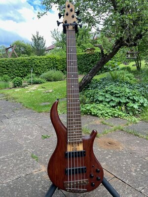 Noguera Expression 6 String, 6 Saiter Bass