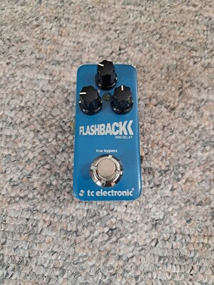 tc electronic Flashback Mini Delay