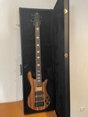 Spector Rebop 5