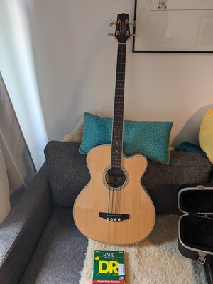 Takamine GB72CE