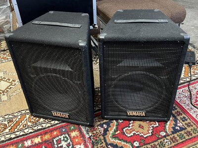 Zwei Yamaha S12e PA-Boxen (250/500 Watt) und 4 Boxenstative