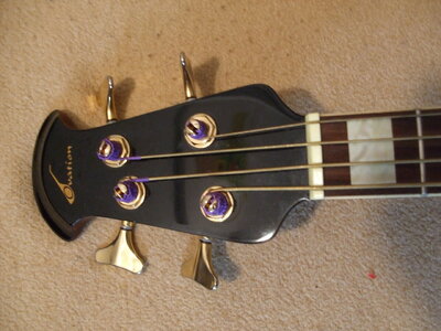 Ovation Akustik Bass CC 2474