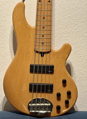 Lakland 55-01