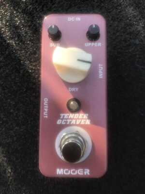 Mooer Tender Octaver MK 1