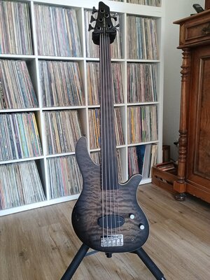 Clover Argo 5 Fretless