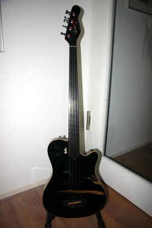 Godin A4 Fretless Bass