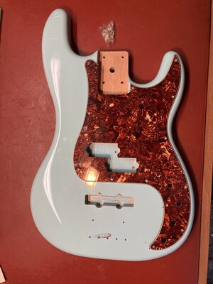 Preci Korpus Erle + Pickguard