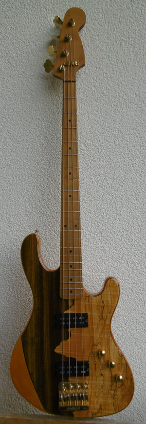 Cort Jeff Berlin Bass, The Rithimic, modifiziert