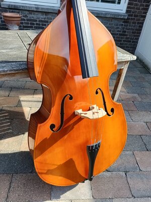 Strunal Josef Jan Dvorak 3/4 Upright (TAUSCH)