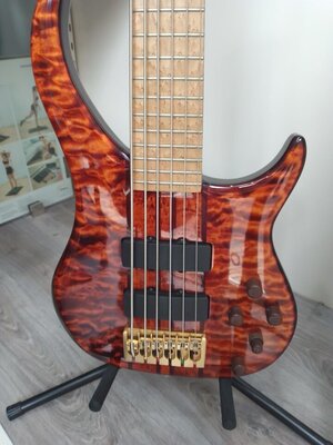 Peavey Cirrus Tiger Eye Custom Shop 6