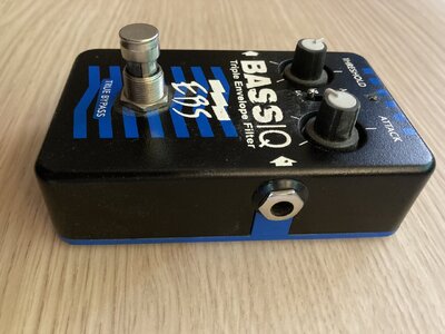 BassIQ3.jpg