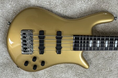 Spector Euro Classic 5 Gold (Reserviert bis 26.10.)