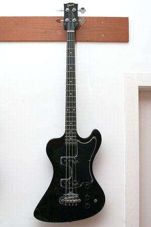 SUCHE: Gibson RD Bass Krist Novoselic Signature