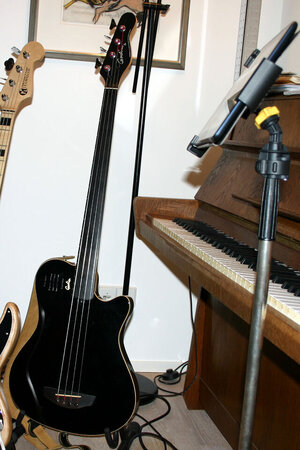 Godin A4 Fretless Bass