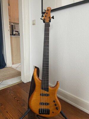 MTD/Grendel 5-String Tschechien