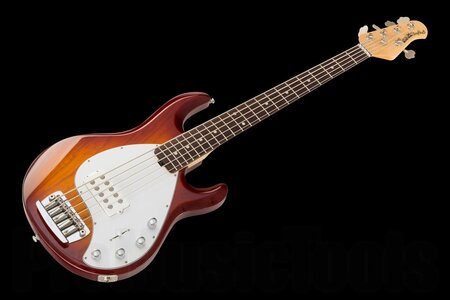 Suche EB Music Man Stingray 5 Saiter