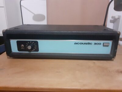 ACOUSTIC 300 | Bass Gitarre Amp | Mono Endstufe | 2Ω