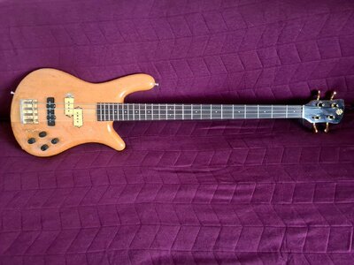 Spector NS2 E-Bass 1981