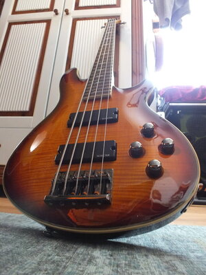 SCHECTER 5 String Bass NEU & UNGESPIELT .....!