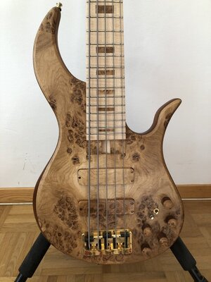 Mirel 5 String Bass