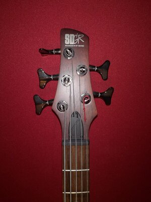 SG Ibanez Holz.jpg