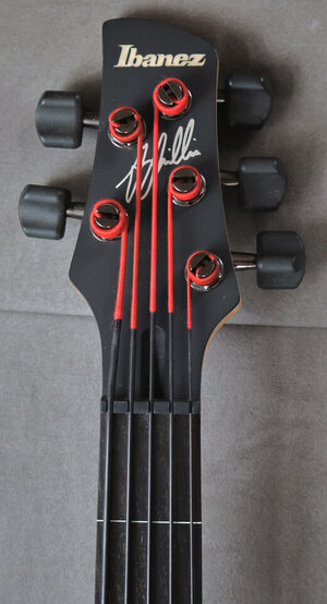 Ibanez Gary Willis Signature 5-Saiter fretless