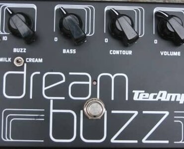 Tecamp Dream Buzz