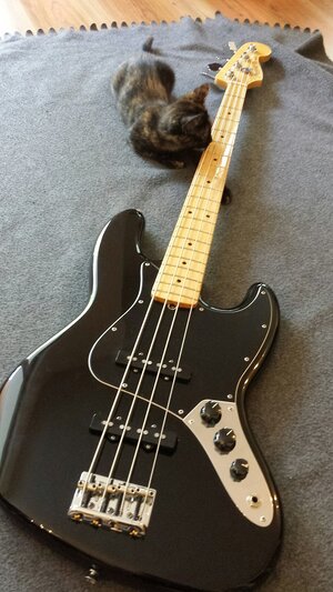 Suche: Fender Jazz Bass