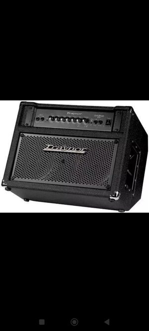 Suche: Traynor Bass Combo