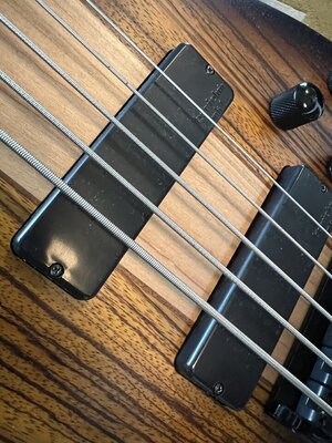 +++ SUCHE Soapbars für 5-String +++