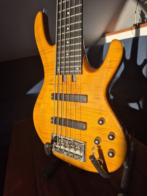 Fibanere Standard 6 string