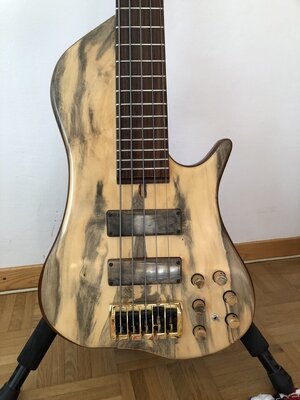 Merlos 5 String Singlecut Bass