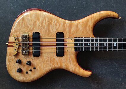 Alembic Europa bass '90s (auch tausch)