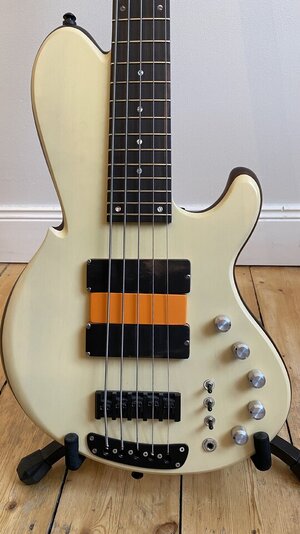 Preisupdate! Wood & Tronics Chronos 5-String Custom 33“ E-C !Holly Top!