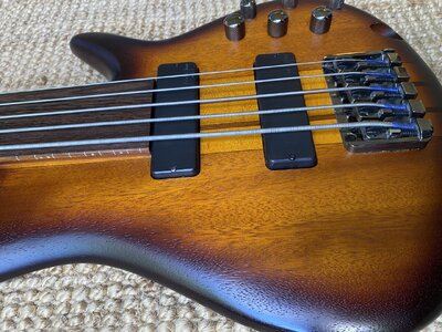 Fretless Bass Ibanez SRF705