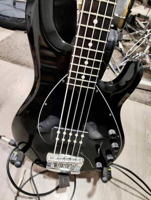 Musicman Stingray V