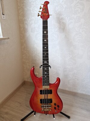 Alembic Elan 5 string 1991 sunburst Zu verkaufen